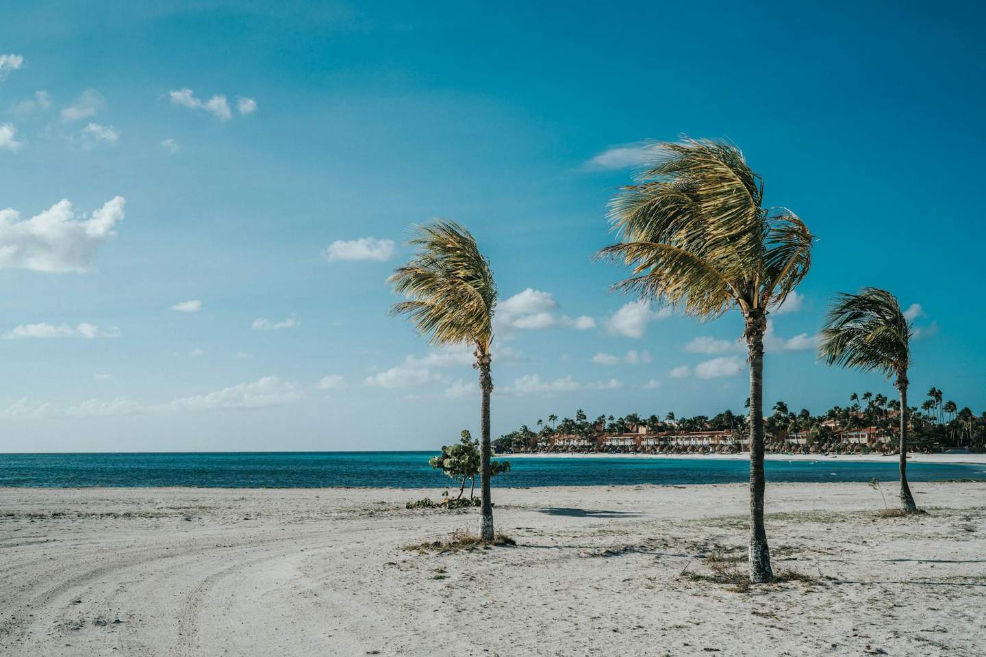 Aruba Resort Reservations, Handled for You