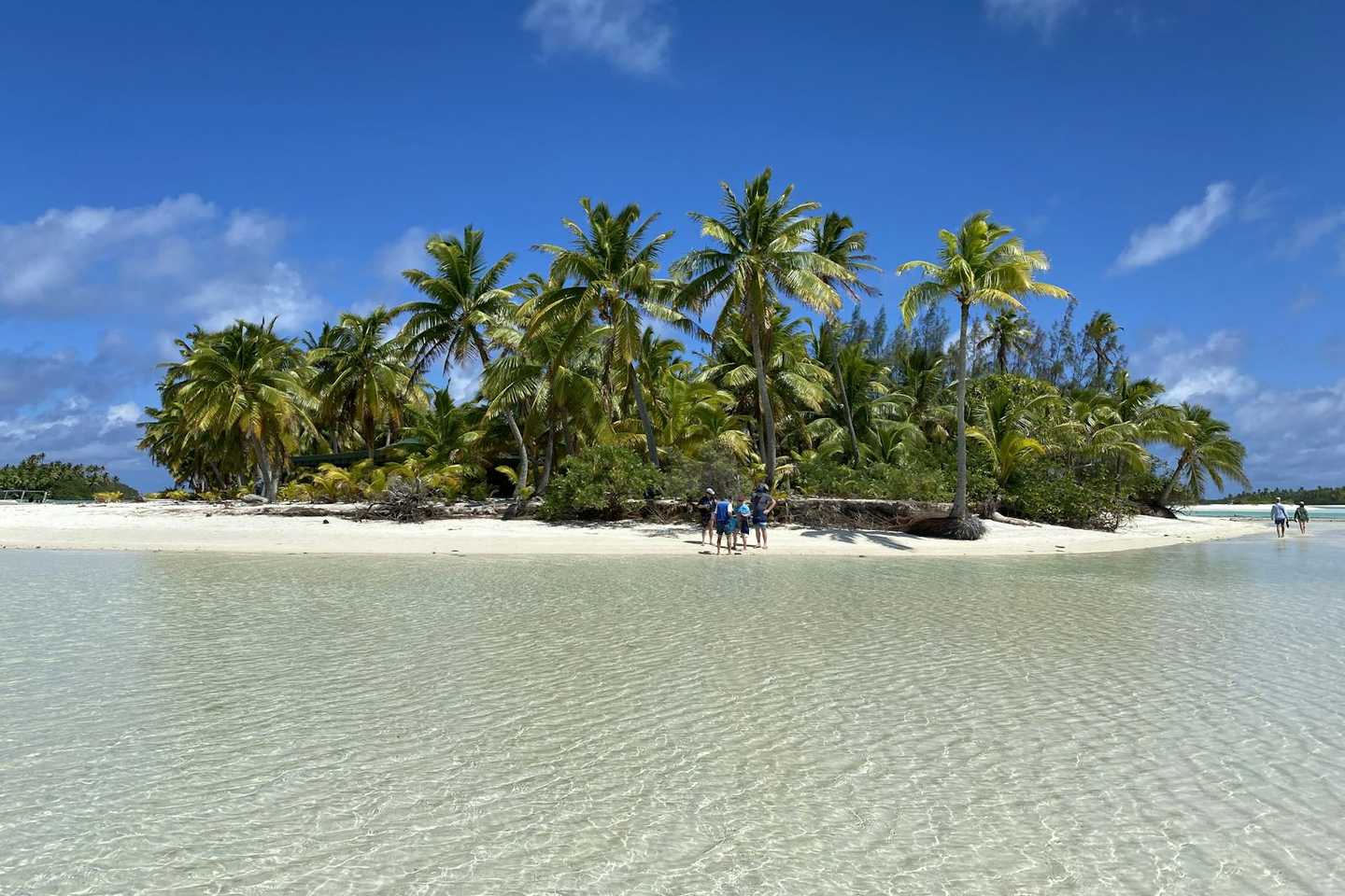 A palm-covered islet in the Aitutaki lagoon, Cook Islands