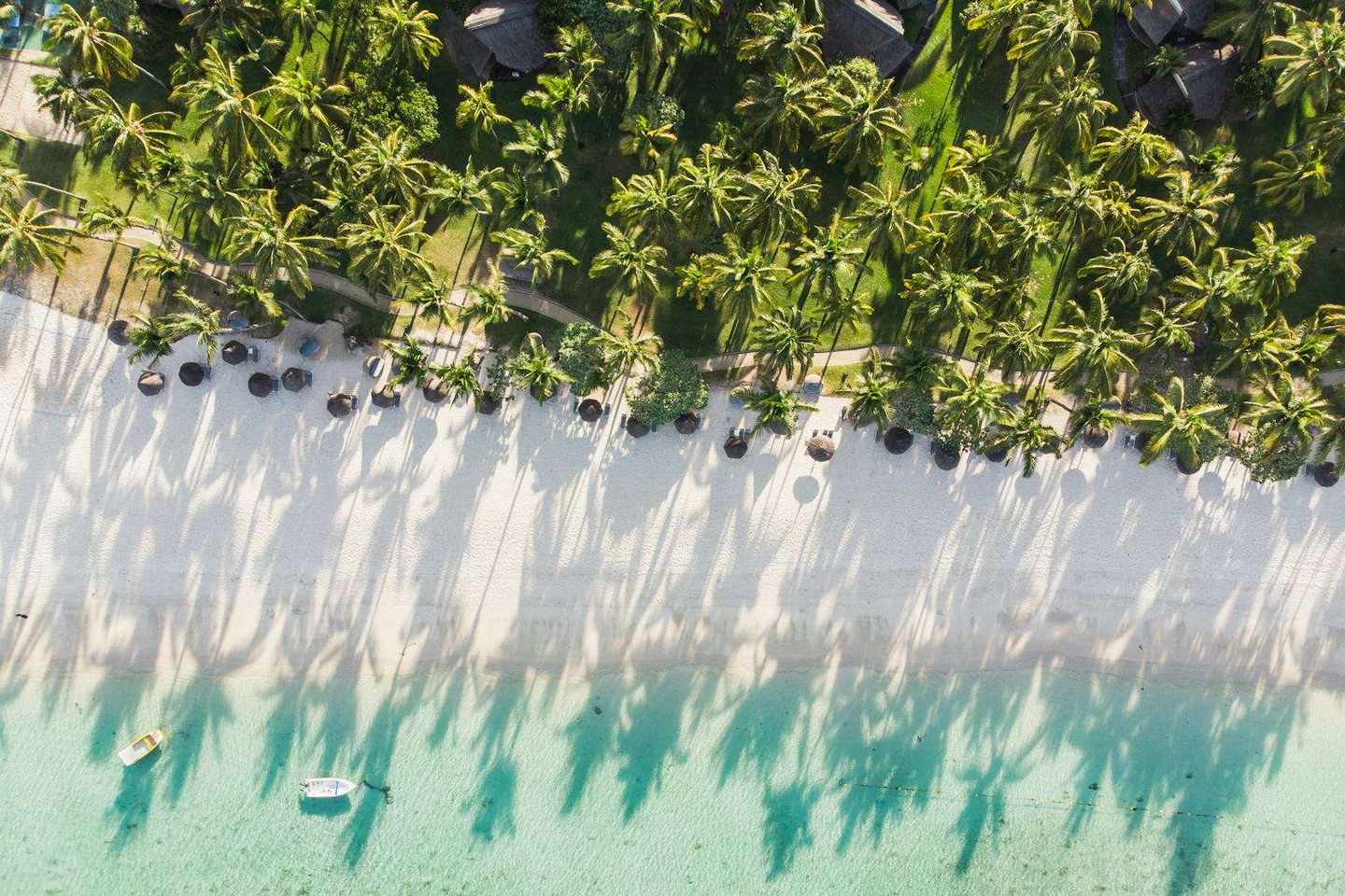 Aerial view of a palm-lined resort beach