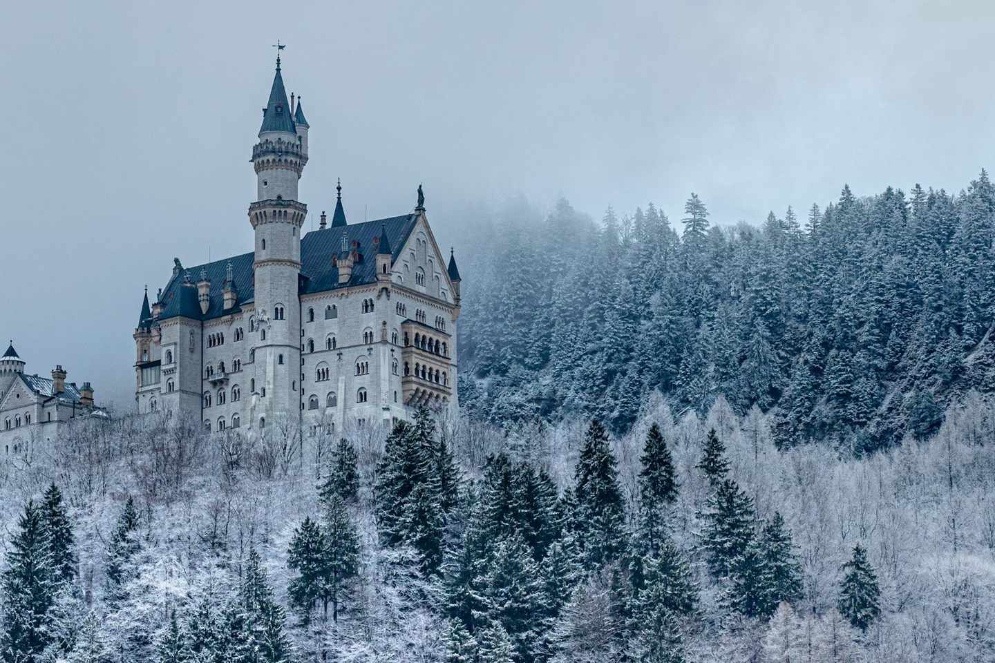 Neuschwanstein Castle in a snowy Bavarian forest, Germany