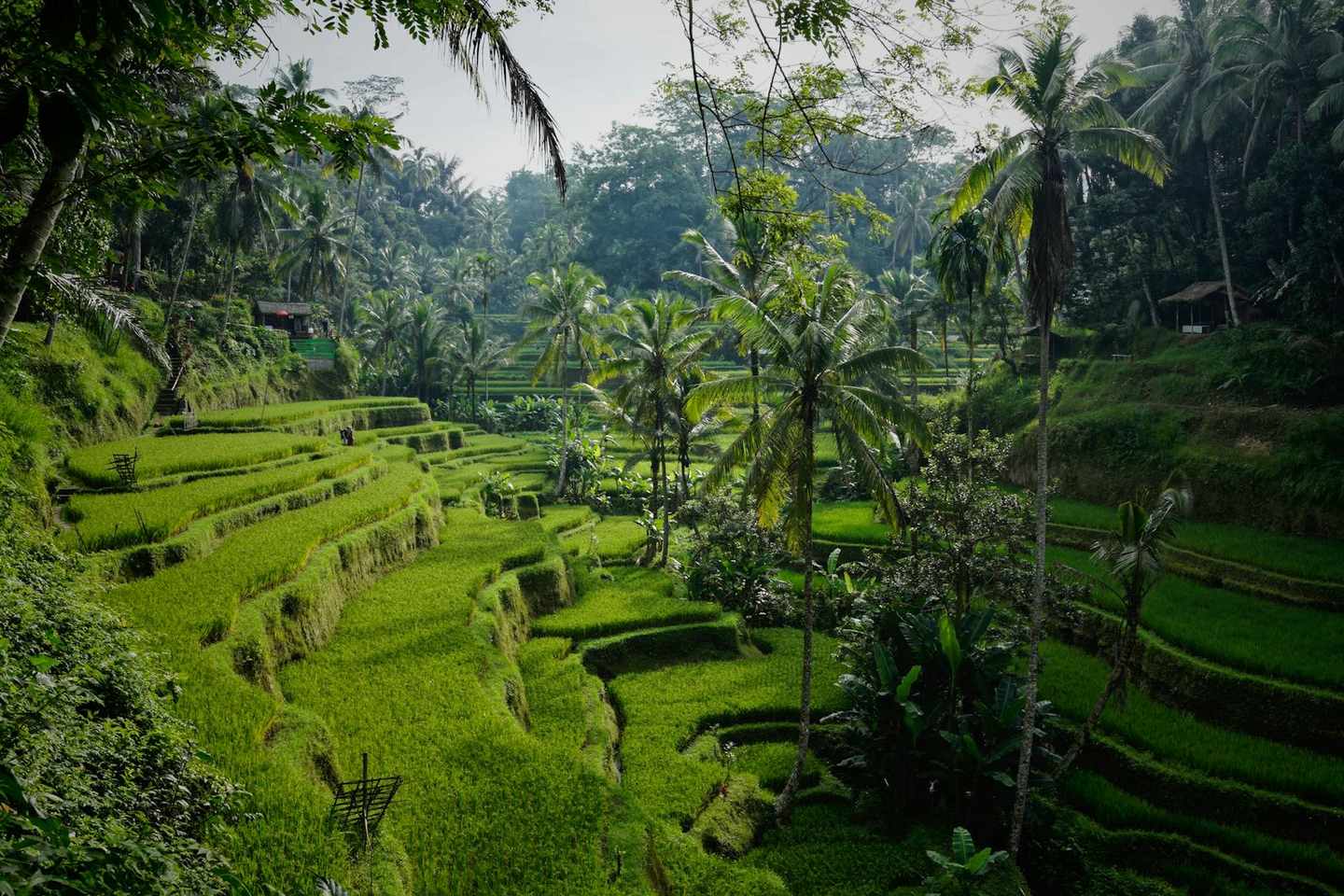 Which Part of Asia Fits Your Trip? Let's Compare