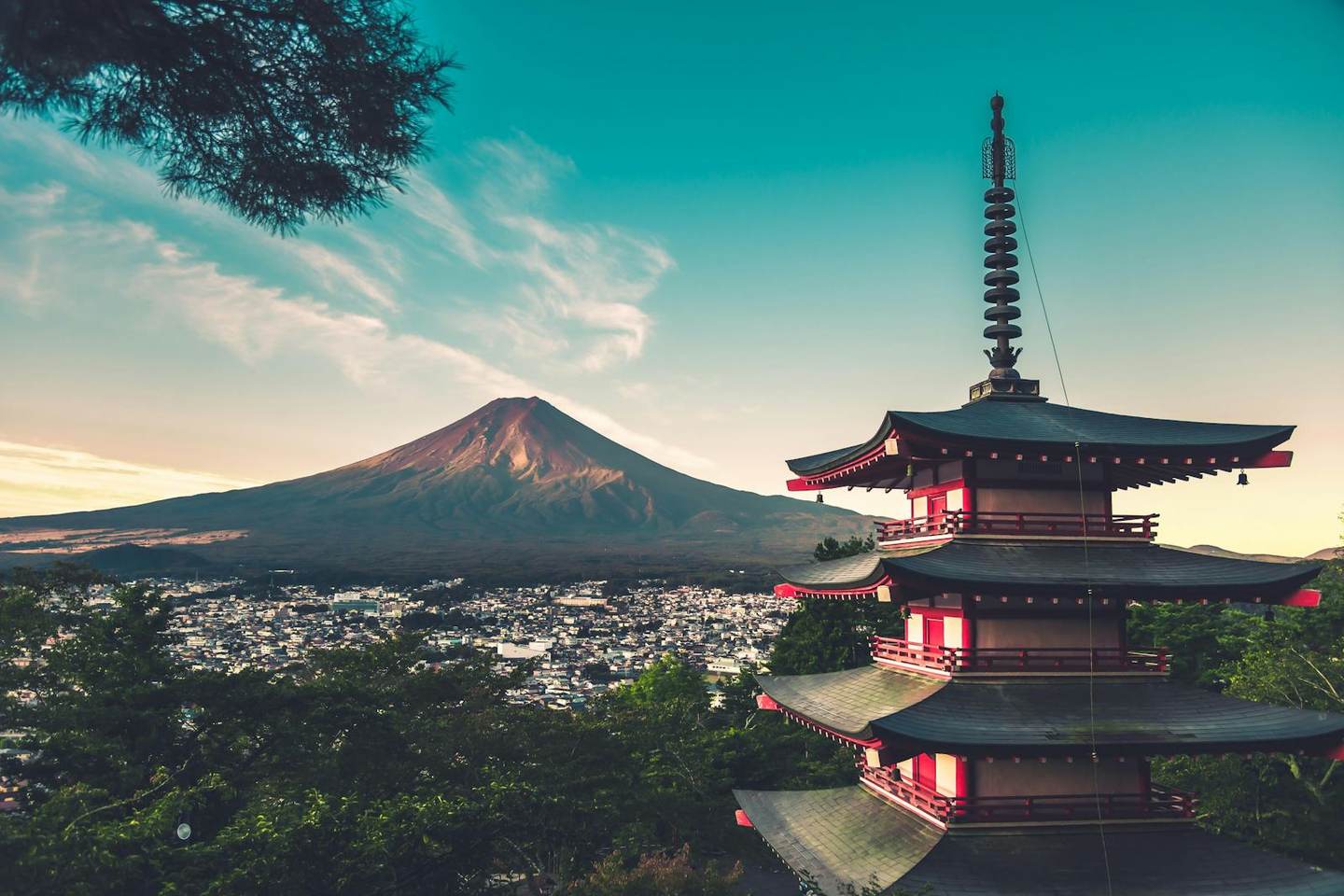 Osaka Hotels, Compared Before You Book