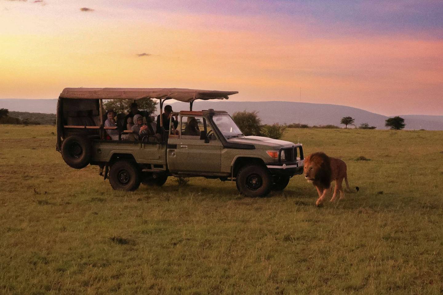 Nairobi Flights & Safari Planning, Compared for You