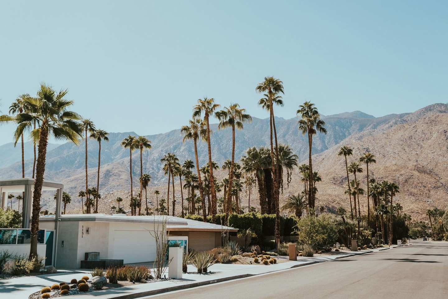 Mid-century homes and palms below the desert mountains, Palm Springs, California