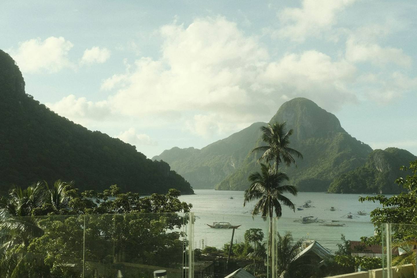 A lush tropical bay with palm trees in Samoa